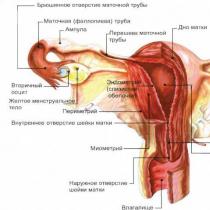 Príznaky ovariálnej cysty, príznaky Aké sú príznaky ovariálnej cysty