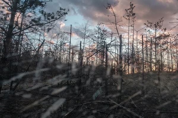 Боец ВСУ записал предсмертное видео